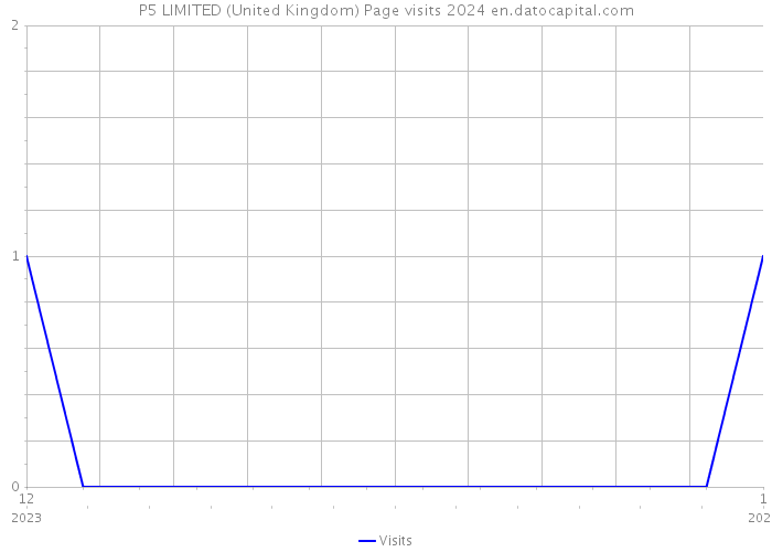 P5 LIMITED (United Kingdom) Page visits 2024 