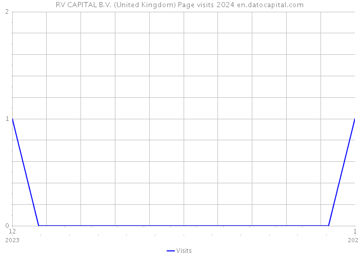 RV CAPITAL B.V. (United Kingdom) Page visits 2024 