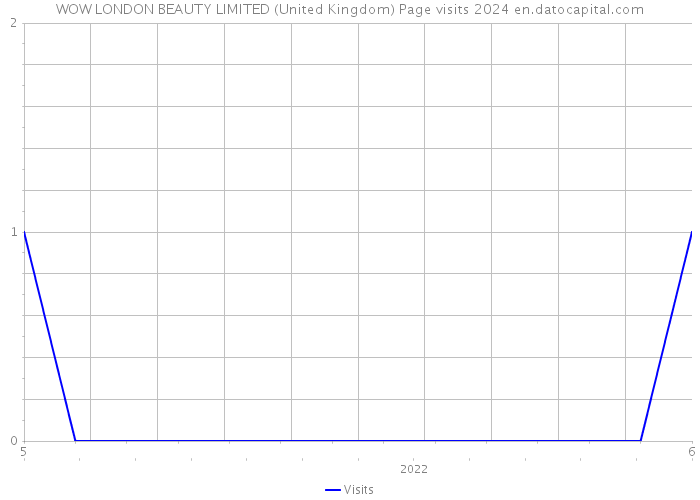 WOW LONDON BEAUTY LIMITED (United Kingdom) Page visits 2024 