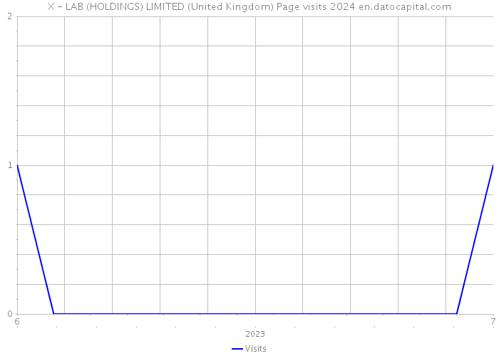 X - LAB (HOLDINGS) LIMITED (United Kingdom) Page visits 2024 