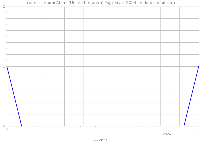 Youness Alami Alami (United Kingdom) Page visits 2024 