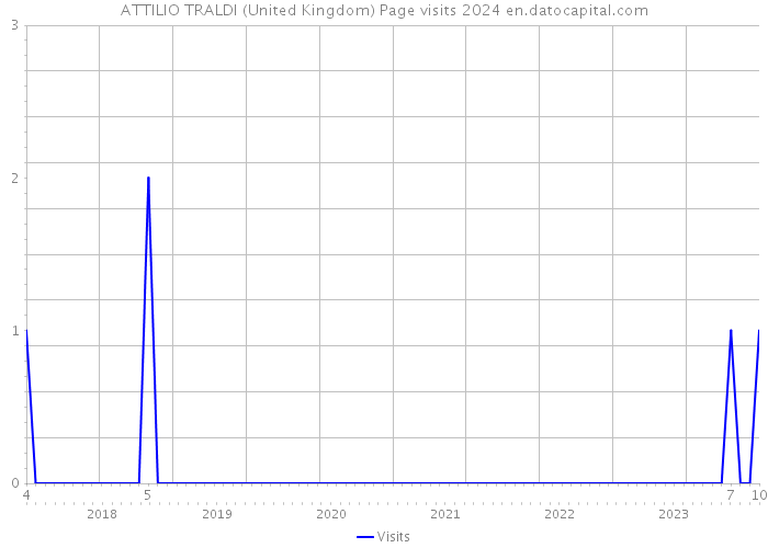 ATTILIO TRALDI (United Kingdom) Page visits 2024 