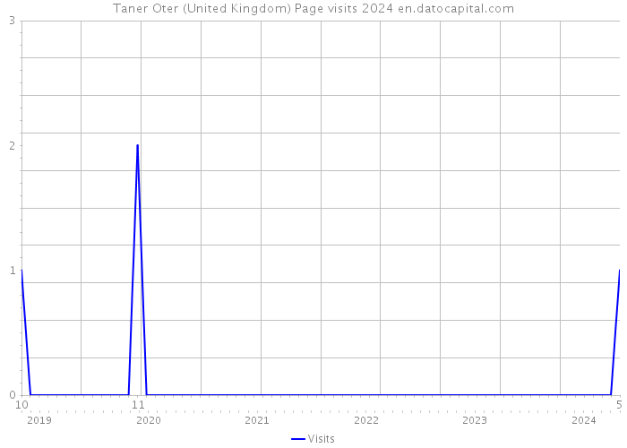 Taner Oter (United Kingdom) Page visits 2024 