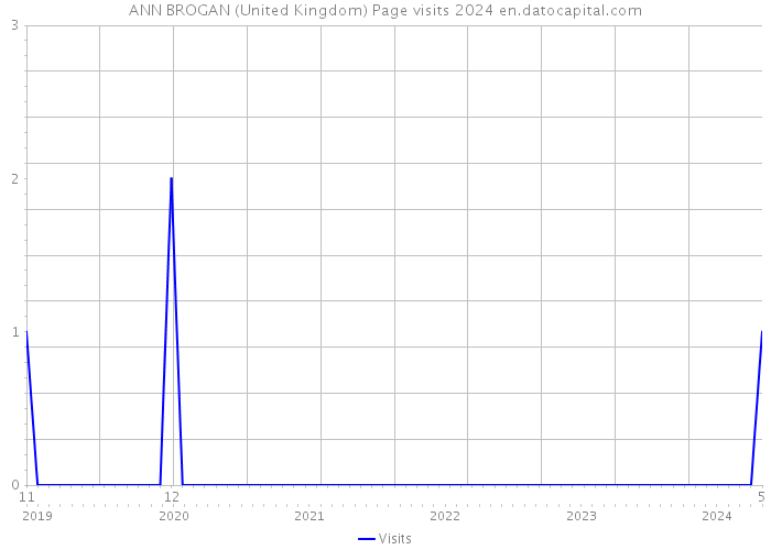 ANN BROGAN (United Kingdom) Page visits 2024 