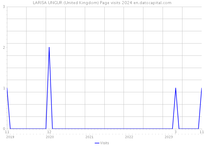 LARISA UNGUR (United Kingdom) Page visits 2024 