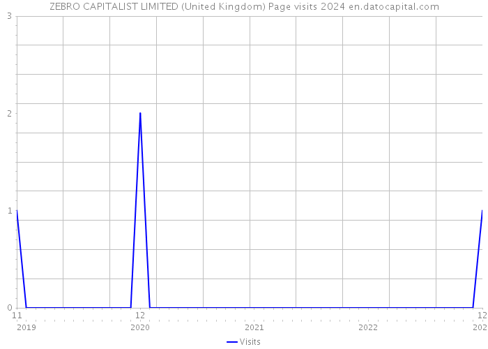 ZEBRO CAPITALIST LIMITED (United Kingdom) Page visits 2024 