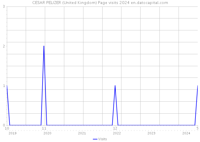 CESAR PELIZER (United Kingdom) Page visits 2024 