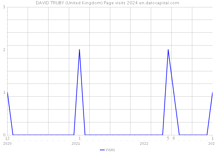 DAVID TRUBY (United Kingdom) Page visits 2024 