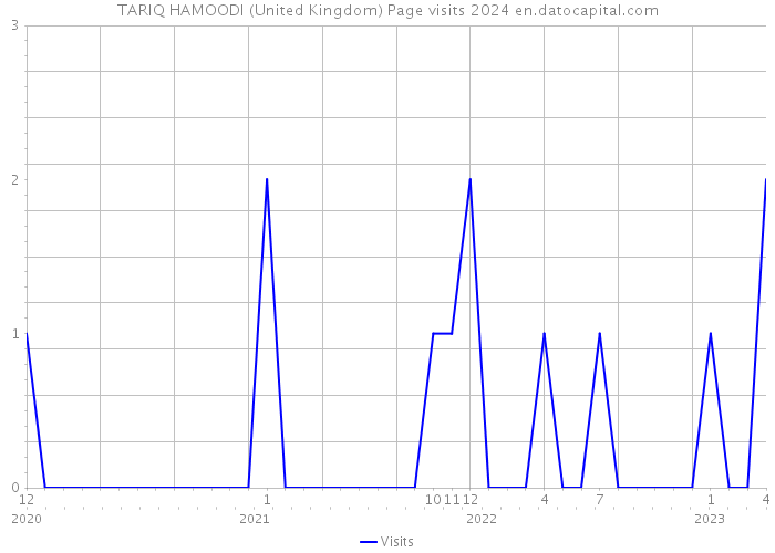 TARIQ HAMOODI (United Kingdom) Page visits 2024 