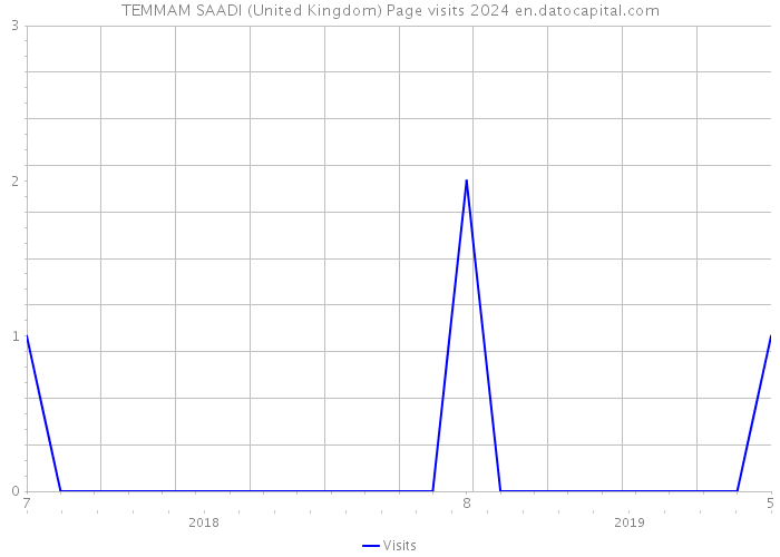 TEMMAM SAADI (United Kingdom) Page visits 2024 