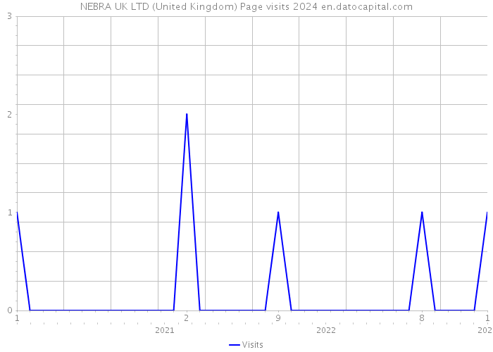 NEBRA UK LTD (United Kingdom) Page visits 2024 