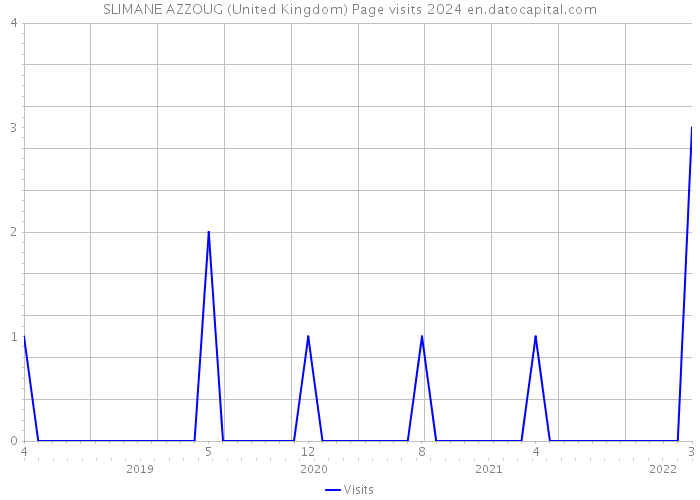 SLIMANE AZZOUG (United Kingdom) Page visits 2024 