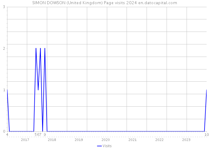 SIMON DOWSON (United Kingdom) Page visits 2024 