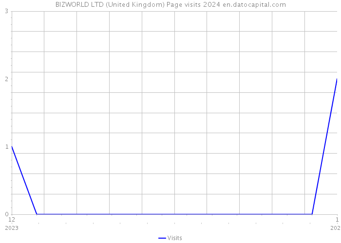 BIZWORLD LTD (United Kingdom) Page visits 2024 