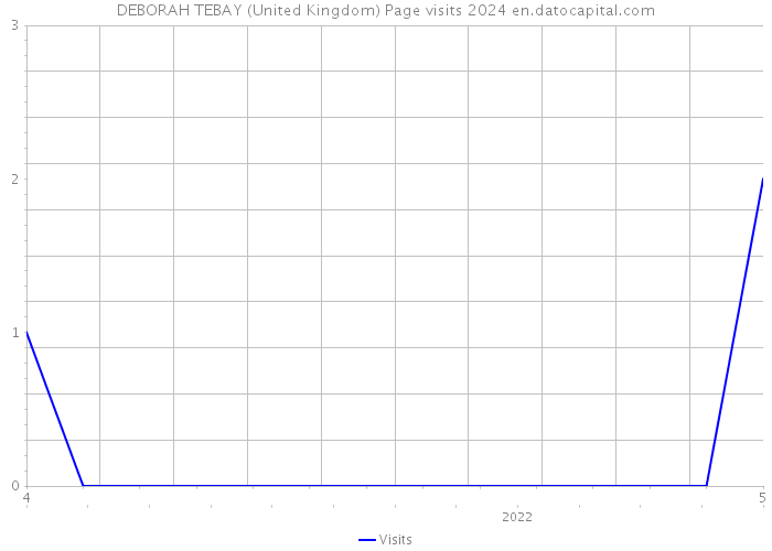 DEBORAH TEBAY (United Kingdom) Page visits 2024 