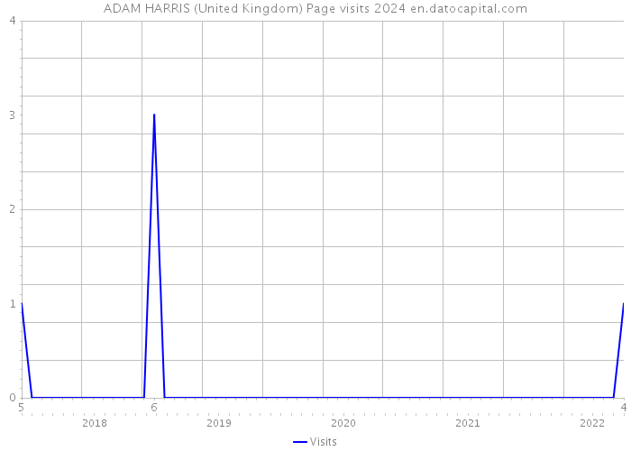 ADAM HARRIS (United Kingdom) Page visits 2024 