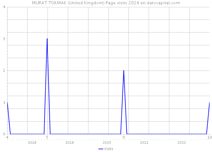 MURAT TOKMAK (United Kingdom) Page visits 2024 