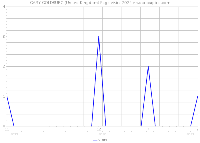 GARY GOLDBURG (United Kingdom) Page visits 2024 