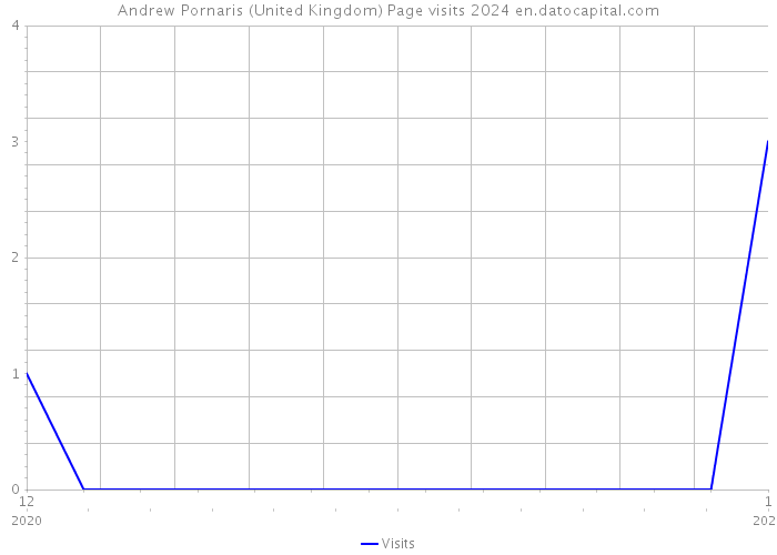 Andrew Pornaris (United Kingdom) Page visits 2024 