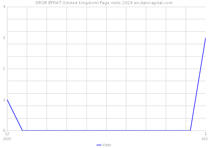 DROR EFRAT (United Kingdom) Page visits 2024 