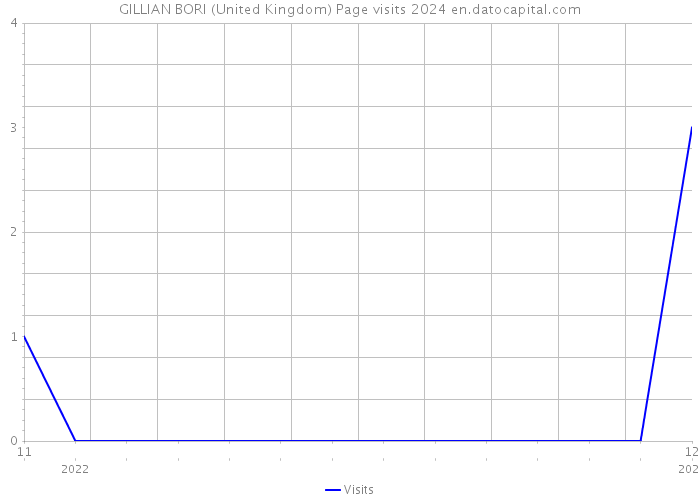 GILLIAN BORI (United Kingdom) Page visits 2024 