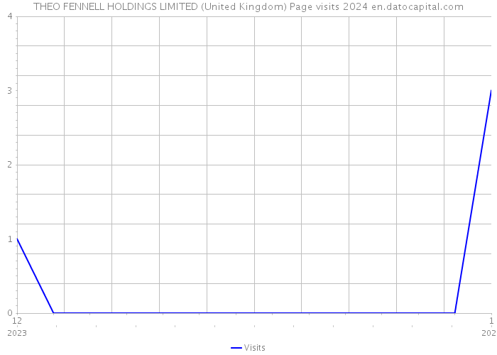 THEO FENNELL HOLDINGS LIMITED (United Kingdom) Page visits 2024 