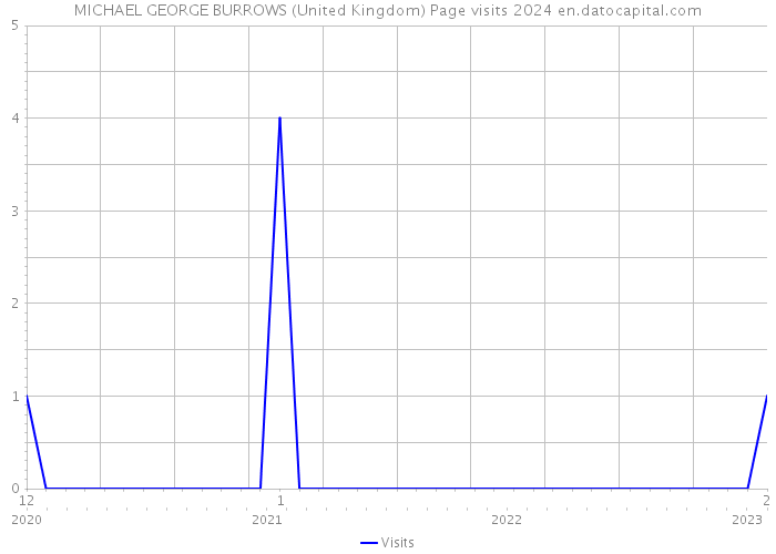 MICHAEL GEORGE BURROWS (United Kingdom) Page visits 2024 