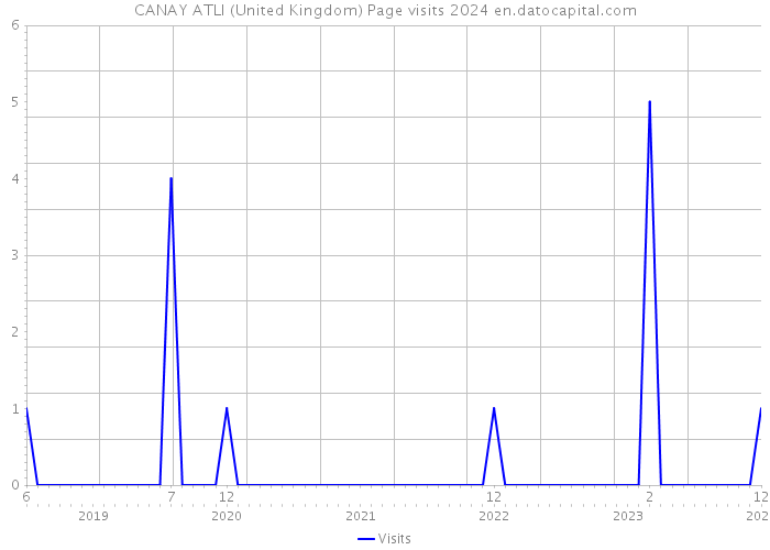 CANAY ATLI (United Kingdom) Page visits 2024 