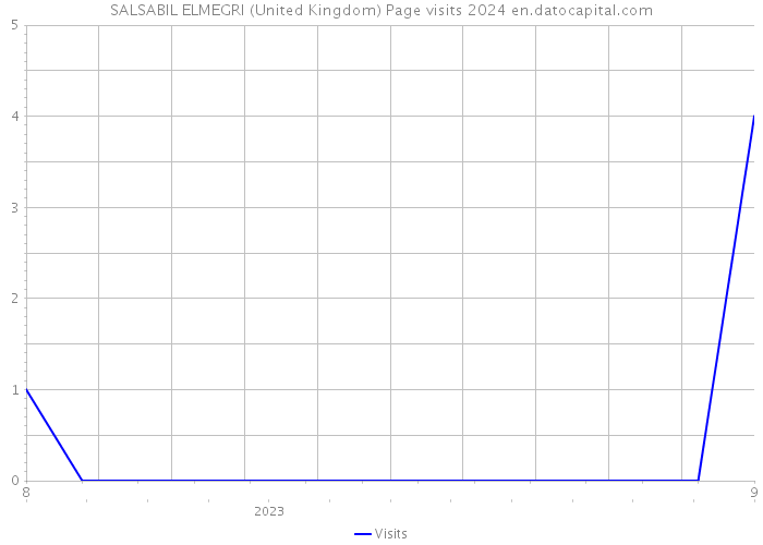 SALSABIL ELMEGRI (United Kingdom) Page visits 2024 