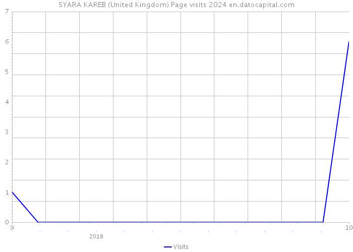 SYARA KAREB (United Kingdom) Page visits 2024 