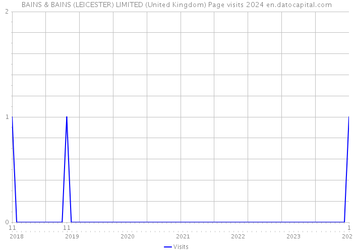 BAINS & BAINS (LEICESTER) LIMITED (United Kingdom) Page visits 2024 