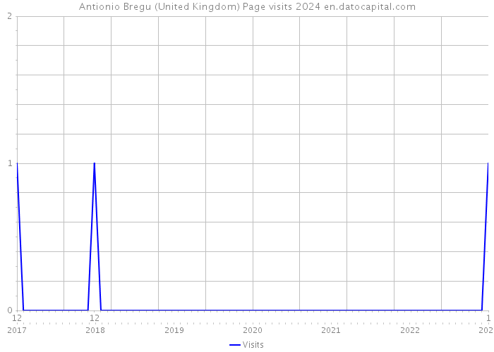 Antionio Bregu (United Kingdom) Page visits 2024 