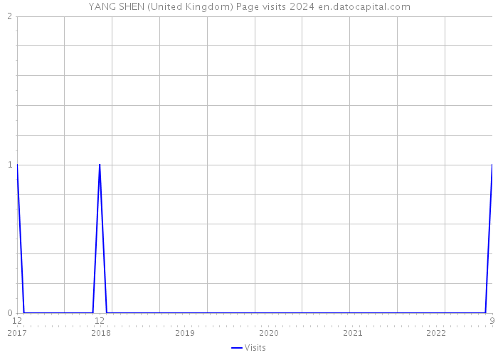 YANG SHEN (United Kingdom) Page visits 2024 