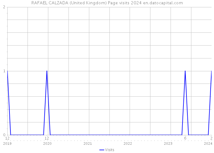 RAFAEL CALZADA (United Kingdom) Page visits 2024 