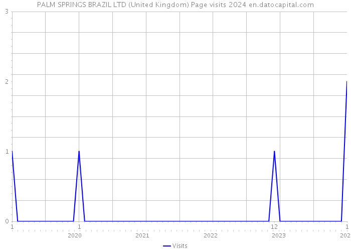 PALM SPRINGS BRAZIL LTD (United Kingdom) Page visits 2024 