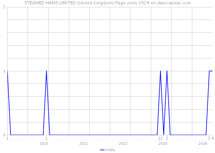 STEAMED HAMS LIMITED (United Kingdom) Page visits 2024 