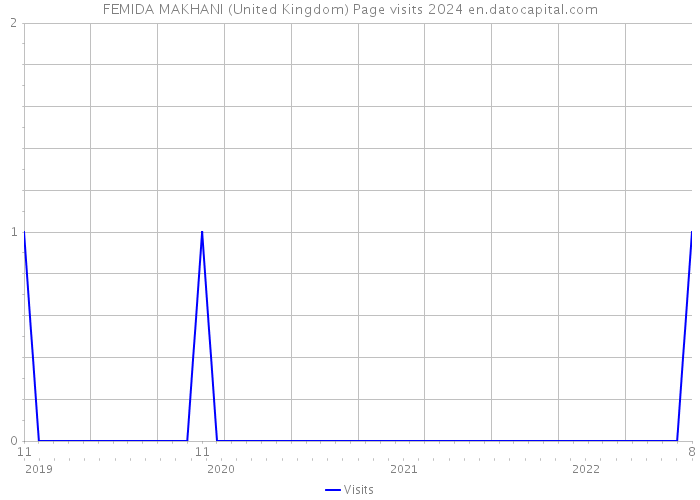 FEMIDA MAKHANI (United Kingdom) Page visits 2024 