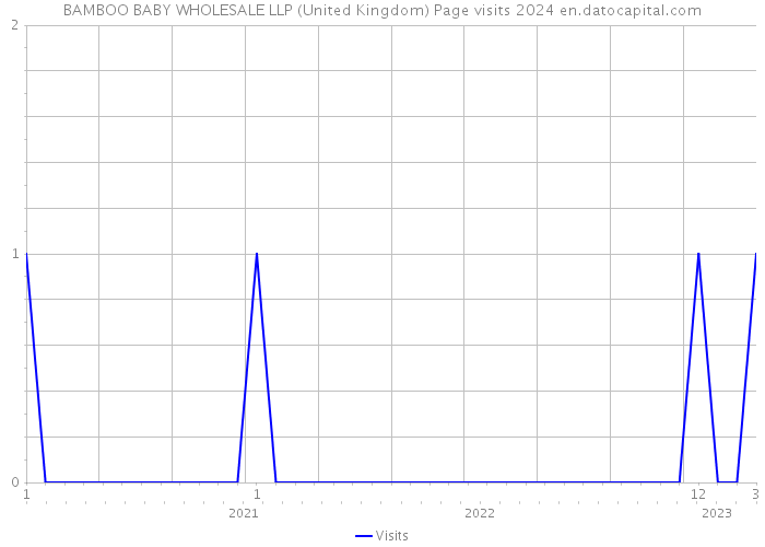 BAMBOO BABY WHOLESALE LLP (United Kingdom) Page visits 2024 