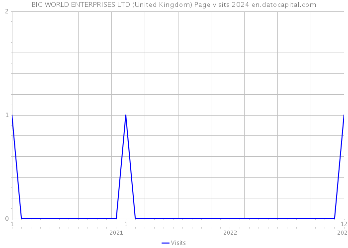 BIG WORLD ENTERPRISES LTD (United Kingdom) Page visits 2024 