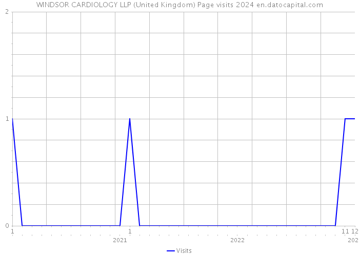 WINDSOR CARDIOLOGY LLP (United Kingdom) Page visits 2024 