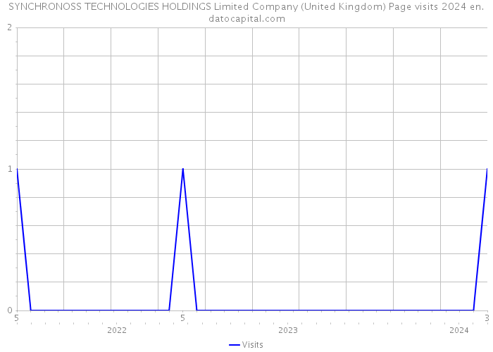 SYNCHRONOSS TECHNOLOGIES HOLDINGS Limited Company (United Kingdom) Page visits 2024 