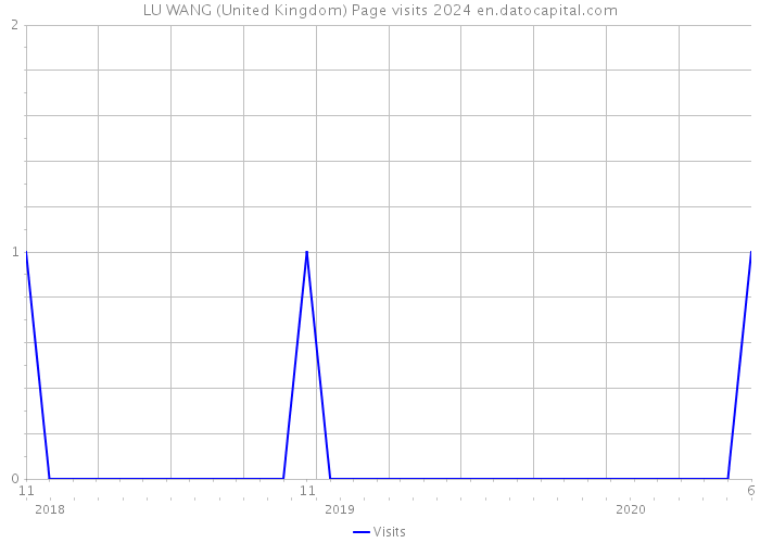 LU WANG (United Kingdom) Page visits 2024 