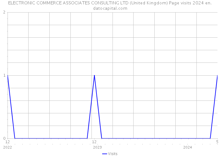 ELECTRONIC COMMERCE ASSOCIATES CONSULTING LTD (United Kingdom) Page visits 2024 
