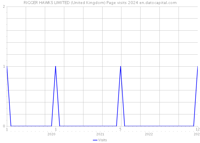 RIGGER HAWKS LIMITED (United Kingdom) Page visits 2024 