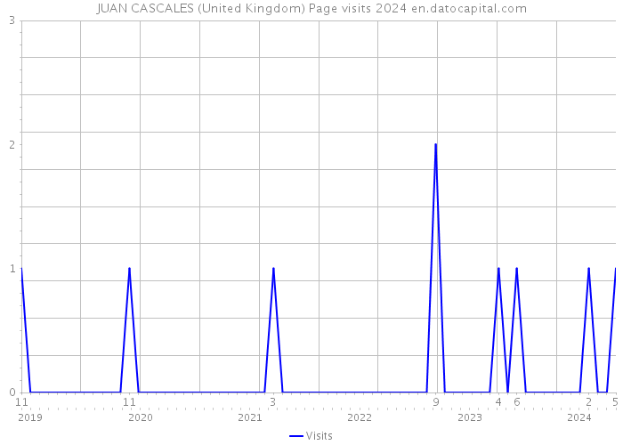 JUAN CASCALES (United Kingdom) Page visits 2024 