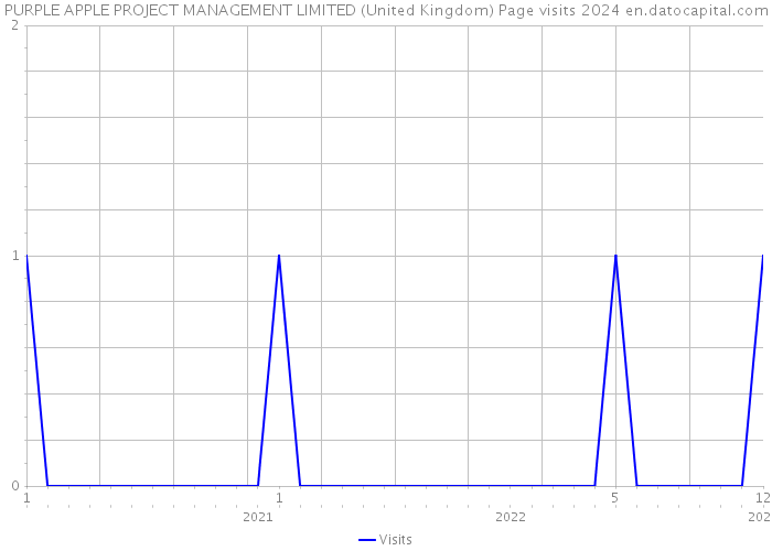PURPLE APPLE PROJECT MANAGEMENT LIMITED (United Kingdom) Page visits 2024 