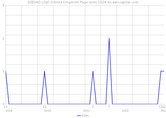 DZEVAD LOJO (United Kingdom) Page visits 2024 