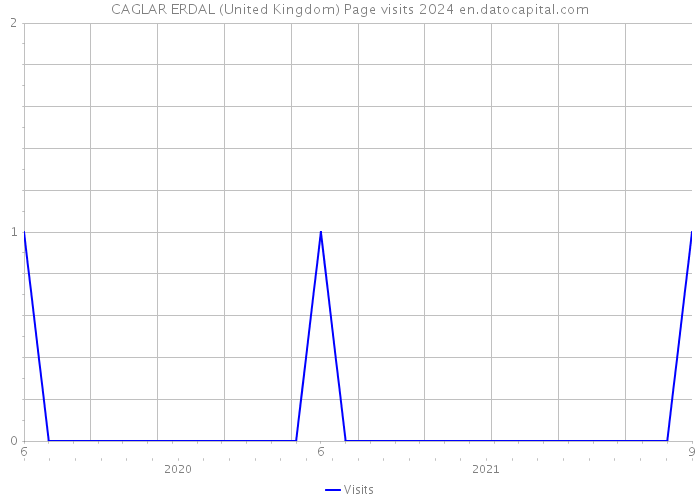 CAGLAR ERDAL (United Kingdom) Page visits 2024 