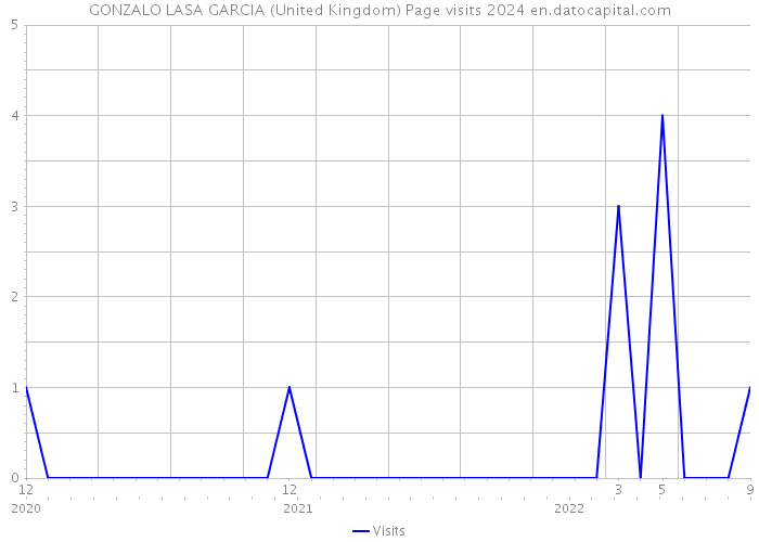GONZALO LASA GARCIA (United Kingdom) Page visits 2024 