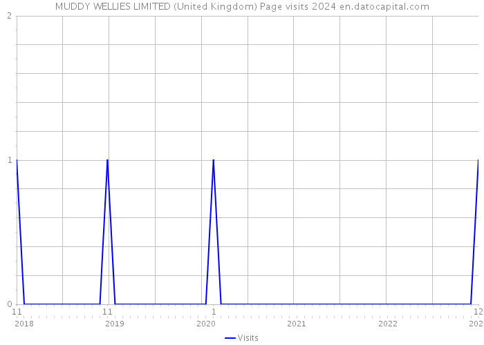 MUDDY WELLIES LIMITED (United Kingdom) Page visits 2024 